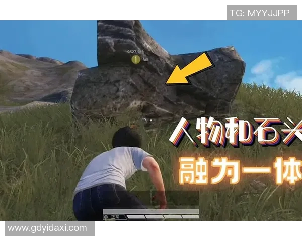 和平精英热点分析LNG战队防守与反击策略的深度解读